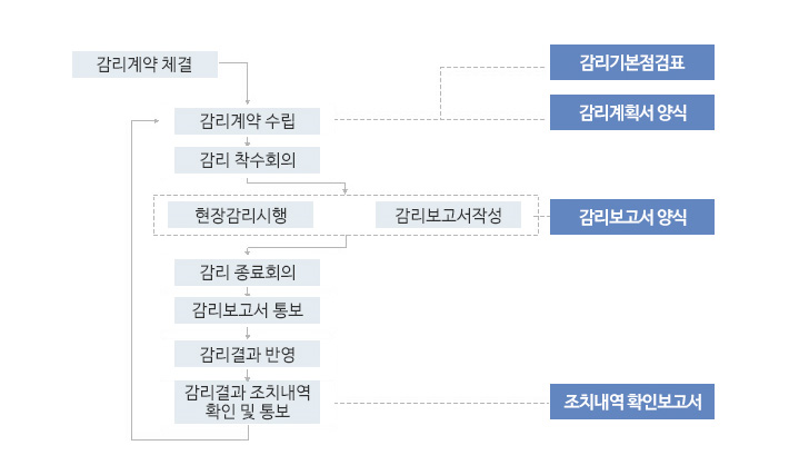감리 수행 절차 이미지